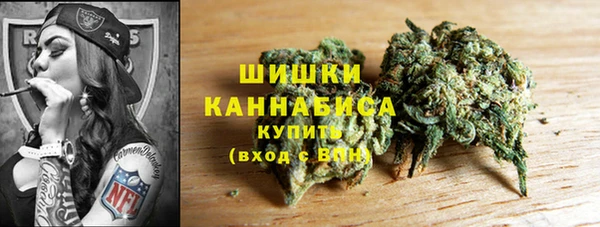 первитин Инсар